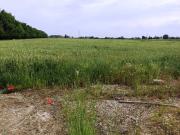 Terreno in vendita a Soliera MO