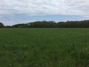 Terreno in vendita a Somma Lombardo VA