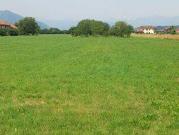 Terreno in vendita a Sommariva del Bosco CN