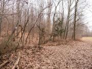 Terreno in vendita a Sotto il Monte Giovanni XXIII BG