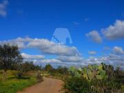 Terreno in vendita a Specchia LE