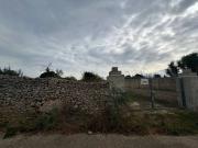 Terreno in vendita a Specchia LE