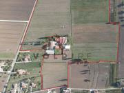 Terreno in vendita a Spello PG