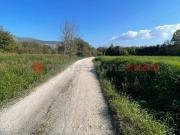 Terreno in vendita a Spigno Saturnia LT