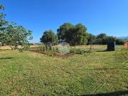 Terreno in vendita a Spoleto PG