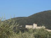 Terreno in vendita a Spoleto PG