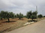 Terreno in vendita a Statte TA