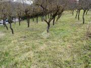 Terreno in vendita a Tagliacozzo AQ