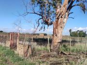 Terreno in vendita a Tarquinia, San Giorgio