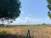 Terreno in vendita a Tarquinia VT