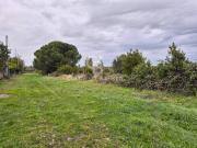 Terreno in vendita a Tarquinia VT