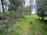 Terreno in vendita a Tarquinia VT