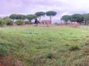 Terreno in vendita a Tarquinia VT