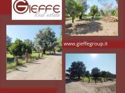 Terreno in vendita a Taurianova RC