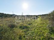 Terreno in vendita a Telti SS