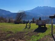 Terreno in vendita a Tenna TN