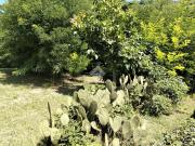 Terreno in vendita a Teolo PD