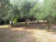 Terreno in vendita a Teolo PD