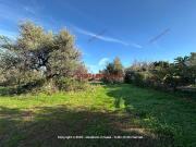 Terreno in vendita a Termini Imerese PA