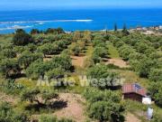 Terreno in vendita a Termini Imerese PA