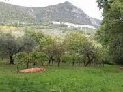 Terreno in vendita a Terni TR