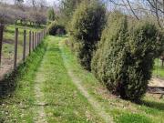 Terreno in vendita a Terni TR