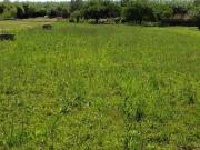 Terreno in vendita a Terracina LT