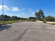 Terreno in vendita a Terrasini PA