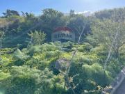 Terreno in vendita a Terrasini PA