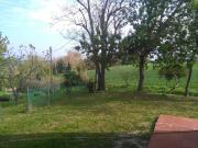 Terreno in vendita a Terre Roveresche PU