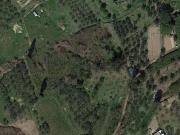 Terreno in vendita a Terricciola PI