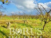 Terreno Agricolo in vendita a Teverola