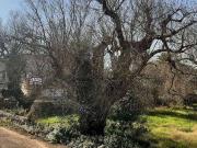 Terreno in vendita a Tiggiano LE