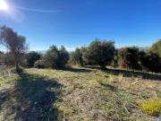 Terreno in vendita a Tivoli RM