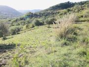 Terreno in vendita a Torchiara SA