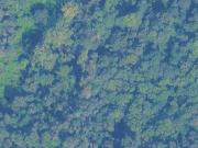 Terreno in vendita a Torino TO