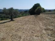 Terreno in vendita a Torrevecchia Teatina CH
