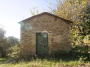 Terreno in vendita a Torri in Sabina RI Terreno in vendita a Torri in Sabina RI