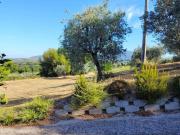 Terreno in vendita a Torri in Sabina RI