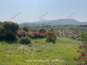 Terreno in vendita a Trabia PA