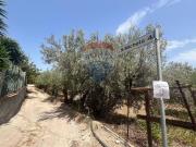 Terreno in vendita a Trabia PA