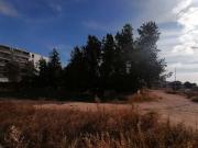 Terreno in vendita a Trani BT