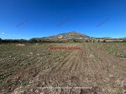 Terreno in vendita a Trapani TP