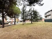 Terreno in vendita a Trecastelli AN