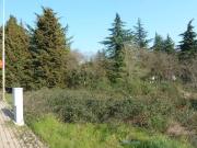 Terreno in vendita a Tregnago VR