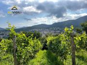 Terreno in vendita a Trento TN