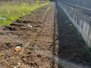 Terreno in vendita a Trentola Ducenta CE Terreno in vendita a Trentola Ducenta CE