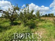 Terreno in vendita a Trentola Ducenta CE