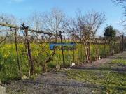 Terreno in vendita a Trentola Ducenta CE