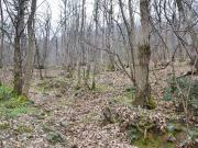 Terreno in vendita a Trescore Balneario BG